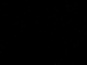 LF-009 Black Mirror PVC Bamboo Panel