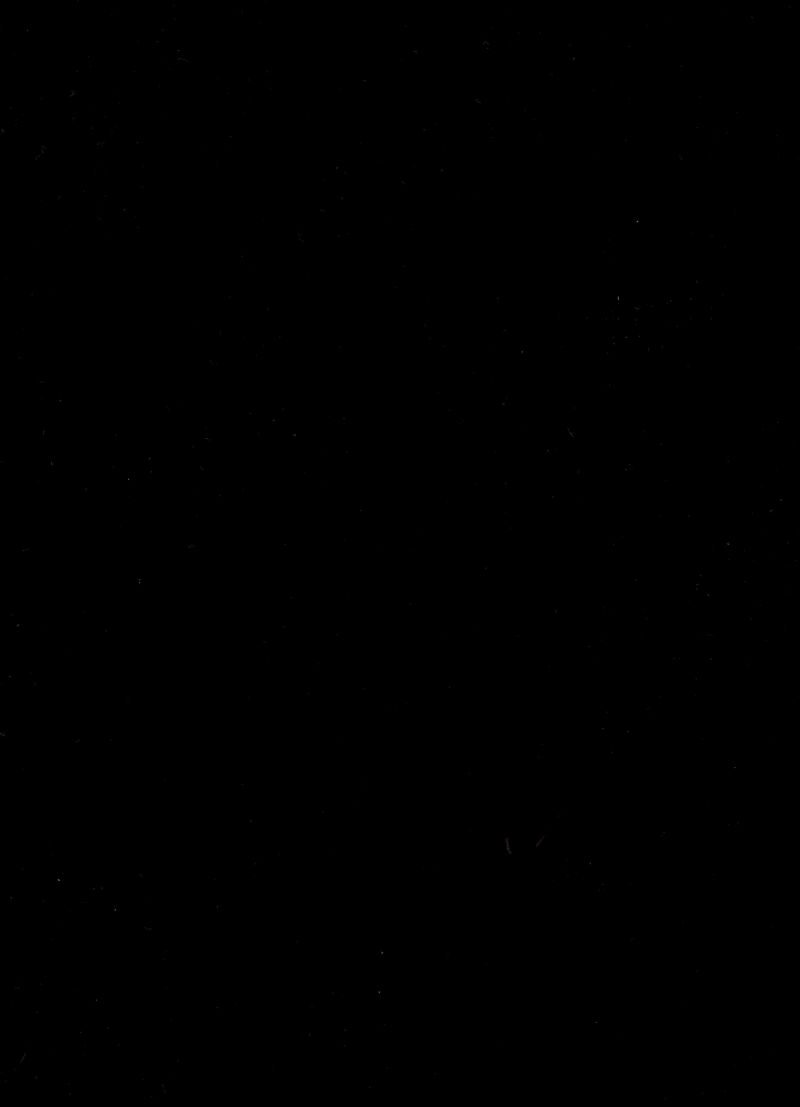 LF-009 Black Mirror PVC Bamboo Panel