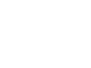 LF-010 PVC Bamboo Panel White Paper